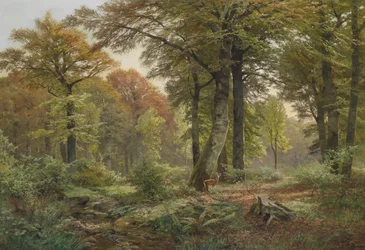 Kleine Waldlichtung mit Rehwild